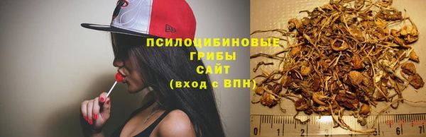 гашишное масло Новодвинск