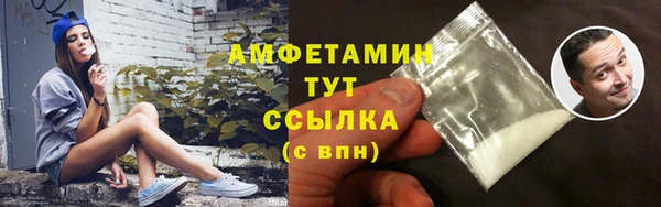 прущие грибы Новозыбков