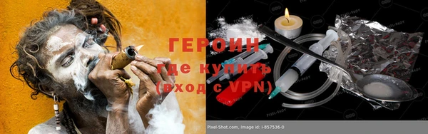 прущие грибы Новозыбков