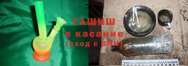 прущие грибы Новозыбков