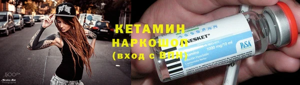 прущие грибы Новозыбков