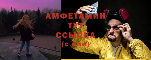 прущие грибы Новозыбков