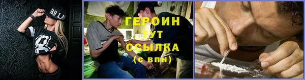 прущие грибы Новозыбков