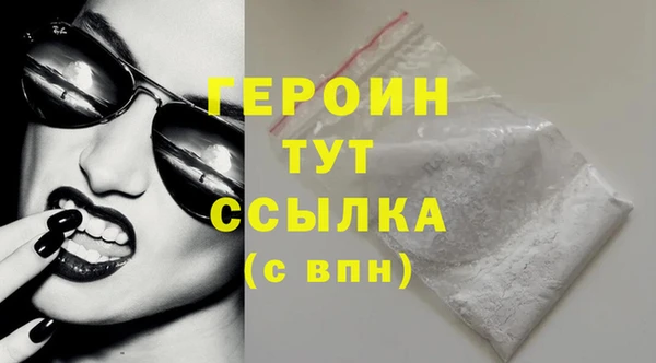 прущие грибы Новозыбков