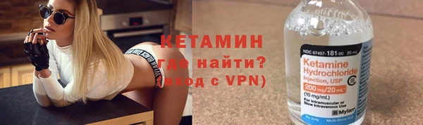 прущие грибы Новозыбков