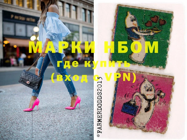 прущие грибы Новозыбков