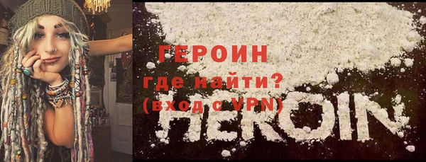 прущие грибы Новозыбков