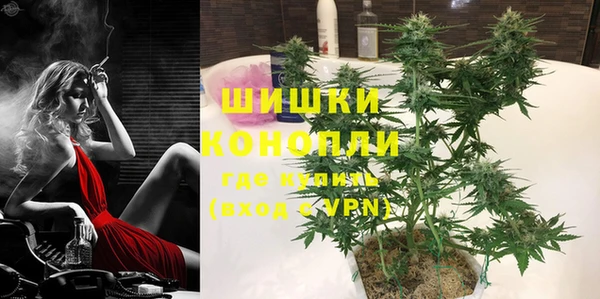 прущие грибы Новозыбков