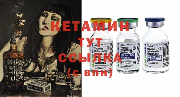 прущие грибы Новозыбков