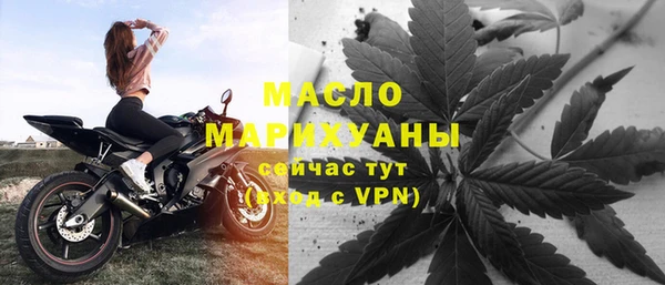 прущие грибы Новозыбков