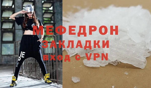 прущие грибы Новозыбков