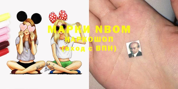 прущие грибы Новозыбков