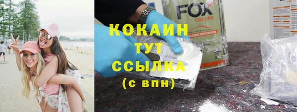 прущие грибы Новозыбков