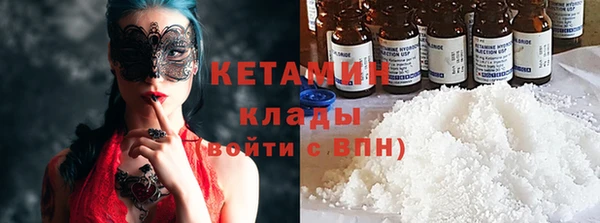 прущие грибы Новозыбков