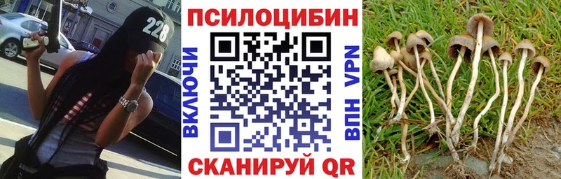 Псилоцибиновые грибы Psilocybe  хочу   Райчихинск 